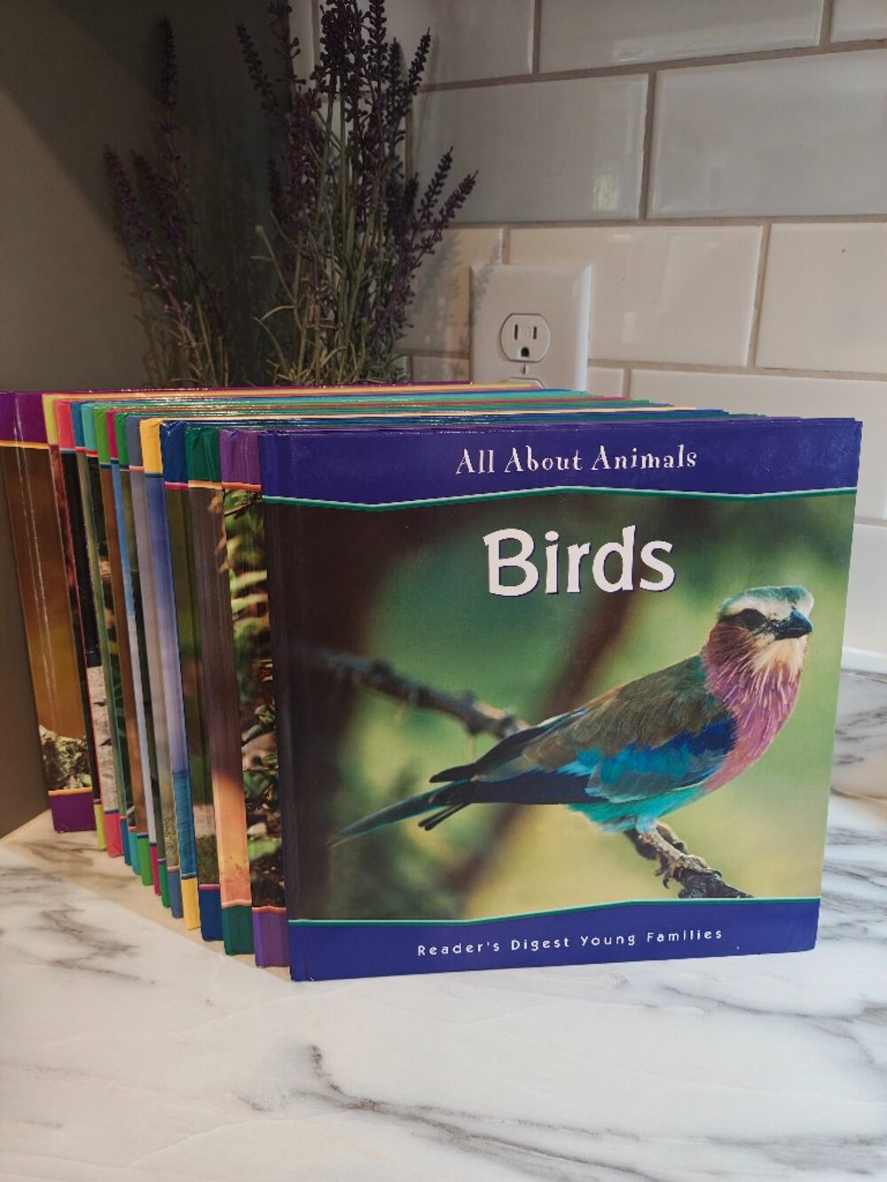 All About Animals Lot of 15 Hardcover Children's Books Reader's Digest Animal